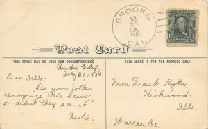 Del Monte California 1908 Postcard The Witch Tree Brooks California Cancel