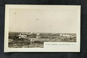 Mint Vintage Tuna Fishing Wedgeport Nova Scotia Canada Real Photo Postcard RPPC