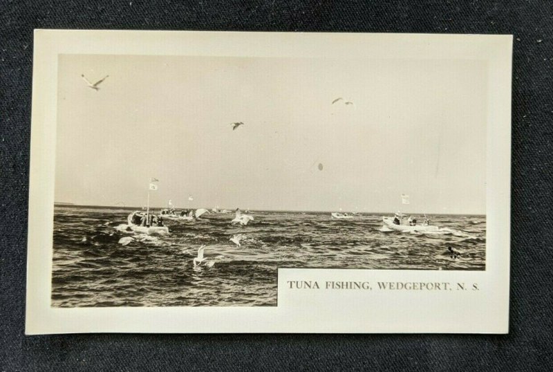 Mint Vintage Tuna Fishing Wedgeport Nova Scotia Canada Real Photo Postcard RPPC