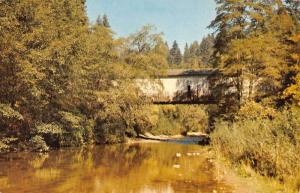 Santa Cruz California Covered Bridge Ford Dealer Ad Vintage Postcard K61906