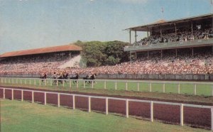 Bombay Indian Horse Race Course Grandstand Rare 1970s Postcard