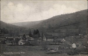 Birchardville PA Susquehanna County PA Montrose c1910 Real Photo Postcard