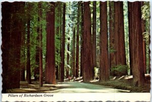 Postcard - Pillars of Richardson Grove - Garberville, California