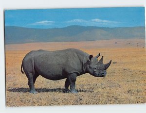 M-164677 African Wild Life Rhino in Ngorongoro Crater