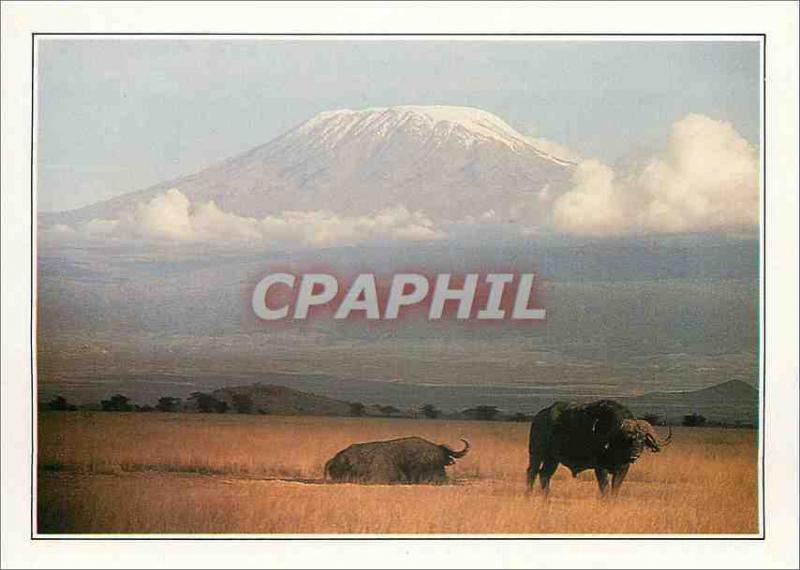 CPM Kenya Amboseli et le Kilimandjaro 