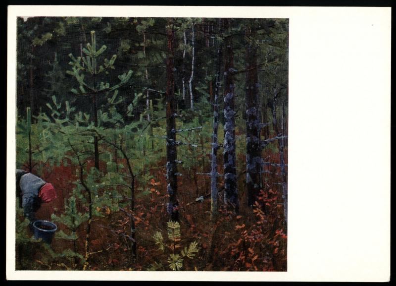 Wet Valley Mushroom picking in the forest by Komissarov USSR Postcard