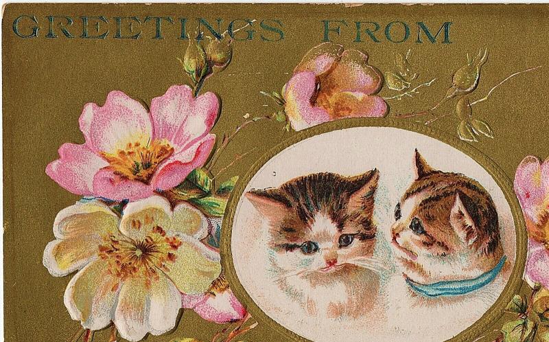 1907 Greetings From Duryea PA Pittston Luzerne Cats Kittens Embossed DB Postcard