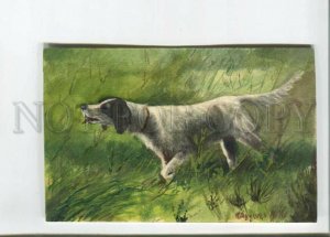473063 Signed HUNT English Setter Dog Grass HAND PAINTED Watercolor Card 1914