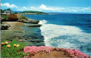 Vtg Santa Cruz California West Cliff Drive Seascape Beach Chrome View Postcard