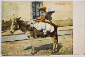 Mexico Chidren On Donkey Mule Los Amigos 1905 Postcard R27