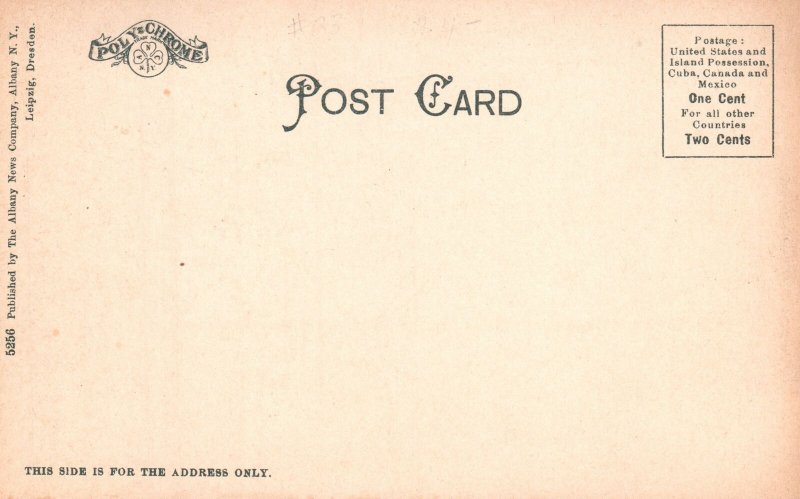 Albany New York, State Street Shopping District Street View Vintage Postcard