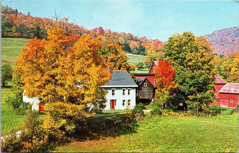 Coolidge Farmhouse Plymouth Notch Vermont VT Fall Scene Postcard Dexter VTG UNP  