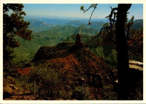 North Rim Of The Grand Canyon Of The Colorado