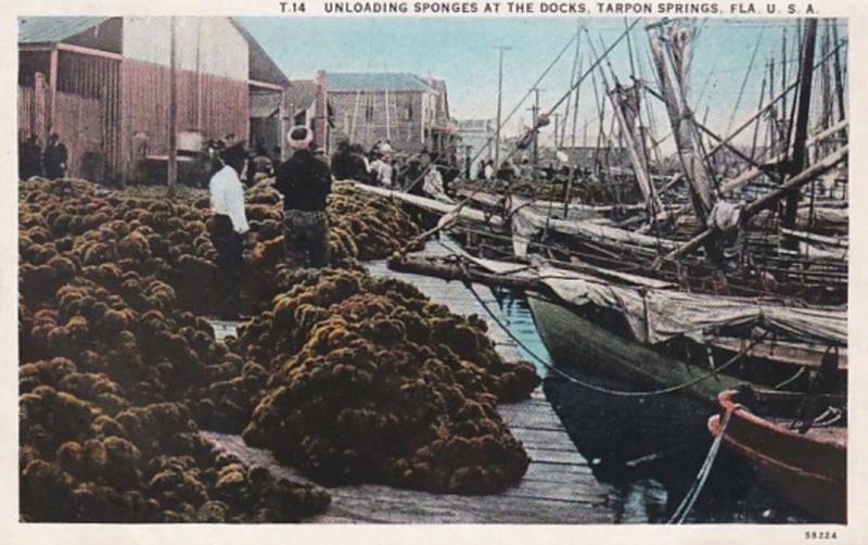 Florida Tarpon Springs Unloading Sponges At The Docks Curteich