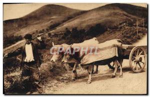 Old Postcard Folklore Basque Country Basque hitch Oxen