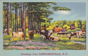 Mississippi Greetings From Barnardsville