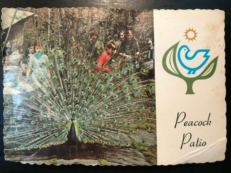 Vintage Postcard>1960-1973>Sterling Forest Gardens>Peacock Patio>Tuxedo>NY