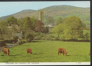 Devon Postcard - Cows In Field, Widecombe and Chinkwell Tor, Dartmoor   LC6163