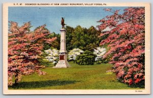 Valley Forge Pennsylvania~Dogwood Blossoms @ New Jersey Monument~Linen Postcard