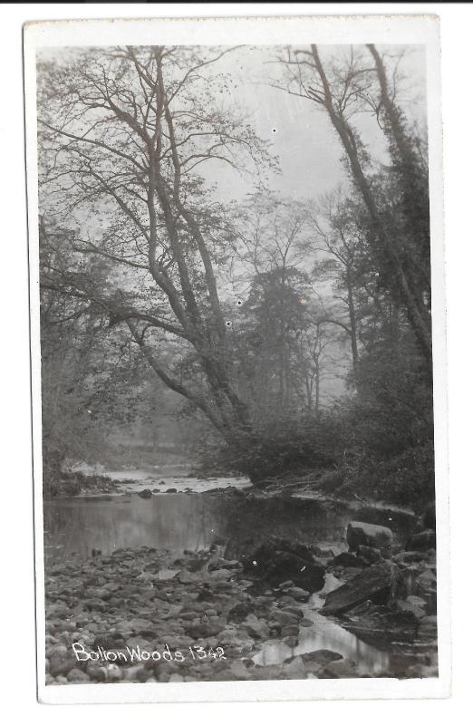 Bolton Woods  RP PPC, Unposted, North Yorkshire Showing the Strid, Strid Woods