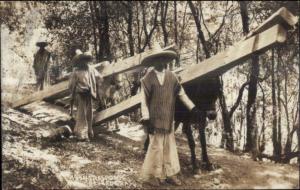 Men & Mules Transport Lumber Maderas Mexico Real Photo Postcard