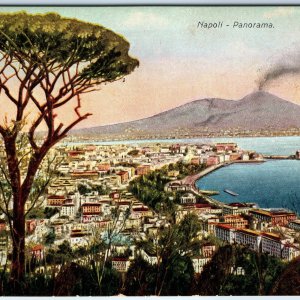 c1910s Naples, Italy Mount Vesuvius Volcano Bay Pine Tree City Panorama A355
