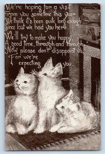 Detroit Michigan MI Postcard Cute Cat Kittens Animals 1910 Posted Antique