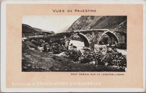 Palestina Roman Bridge Over The Leontes Lebanon Vintage Postcard C149