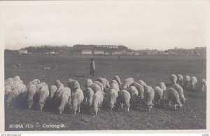 RP: ROMA - Campagna , 00-10s