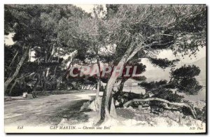 Postcard Old Cap Martin Way Sous Bois