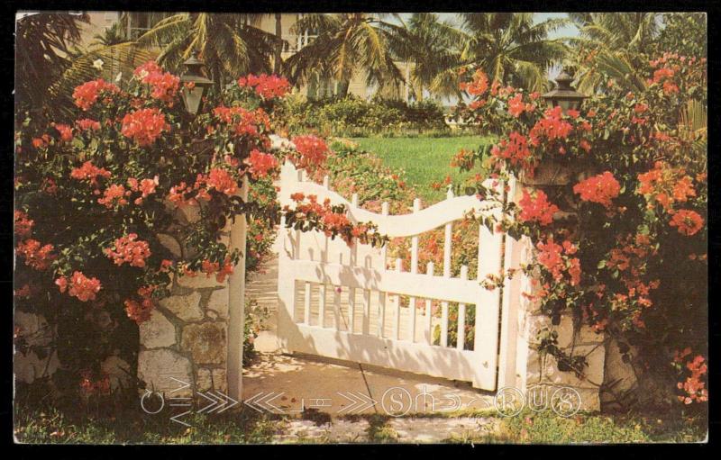 Nassau - Beatiful flower covered wall and garden gate