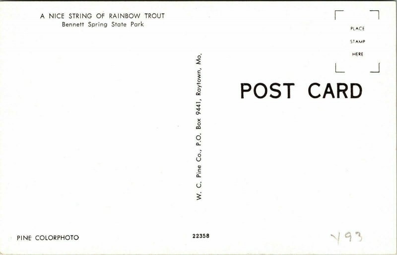Children String Rainbow Trout Fish Bennett Spring State Park VTG Postcard UNP 