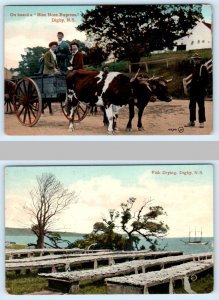 2 Postcards DIGBY, Nova Scotia Canada ~ BLUE NOSE EXPRESS Fish Drying 1910s