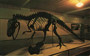 Postcard Al The Allosaurus Dinosaur Price Utah