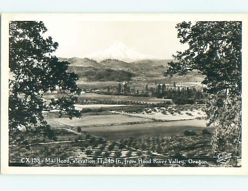 Pre-1950 rppc HOOD RIVER VALLEY Portland Oregon OR r7403