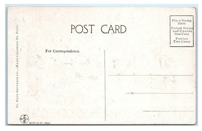 WASECA, Minnesota MN ~ SACRED HEART ACADEMY ca 1910s Postcard