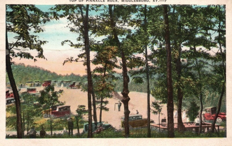 Vintage Postcard 1930 Top of Pinnacle Rock Middlesboro Mts. Kentucky KY Nature