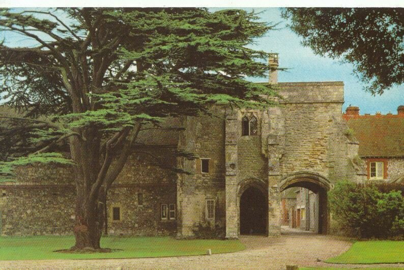 Sussex Postcard - Gateway to The Bishop's Palace - Chichester - Ref TZ7076