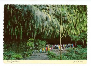 HI - Kauai. Fern Grotto    (continental size)
