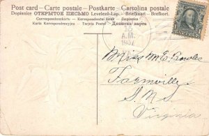 Tabscott Virginia Greetings Greetings Pink Roses Postcard AA110783