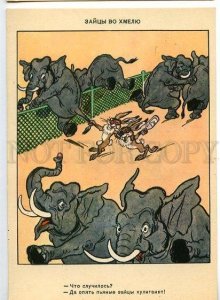 130980 ELEPHANT & Drunk HARE old COMIC RUSSIAN PC