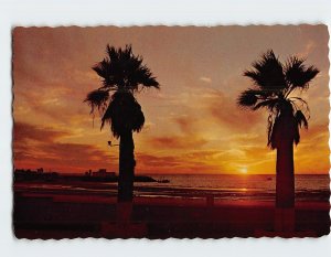 Postcard Sunset Over Puerto Peñasco, Mexico