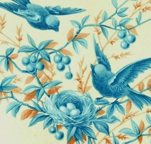 1880s Fleischmann & Co's Compressed Yeast Wild Birds & Nests Lot Of 7 P205