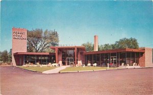 Forest Home Gardens Park Illinois Mid Century Architecture Postcard 21-2064