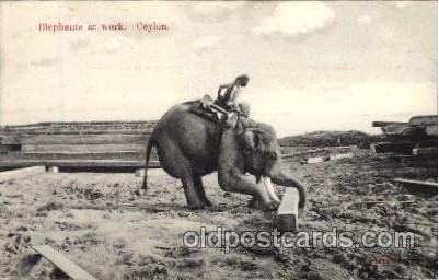 Ceylon Elephant Unused 