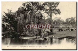 Angers Old Postcard The Garden plants L & # 39ile swans