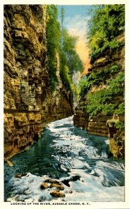 NY - Ausable Chasm. Looking Up the River