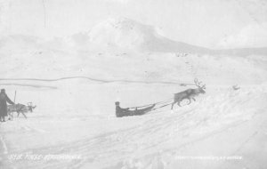 Norway Finse Bergensbanen Reindeer Sled Real Photo Vintage Postcard AA61470