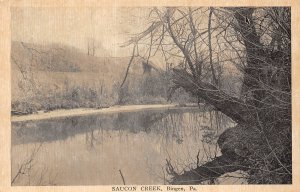 Bingen Pennsylvania Saucon Creek, Sepia Tone Photo Print Vintage Postcard U12635