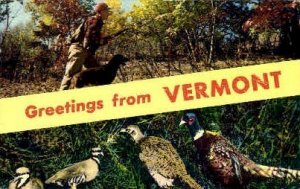 Greetings - Misc, Vermont VT  